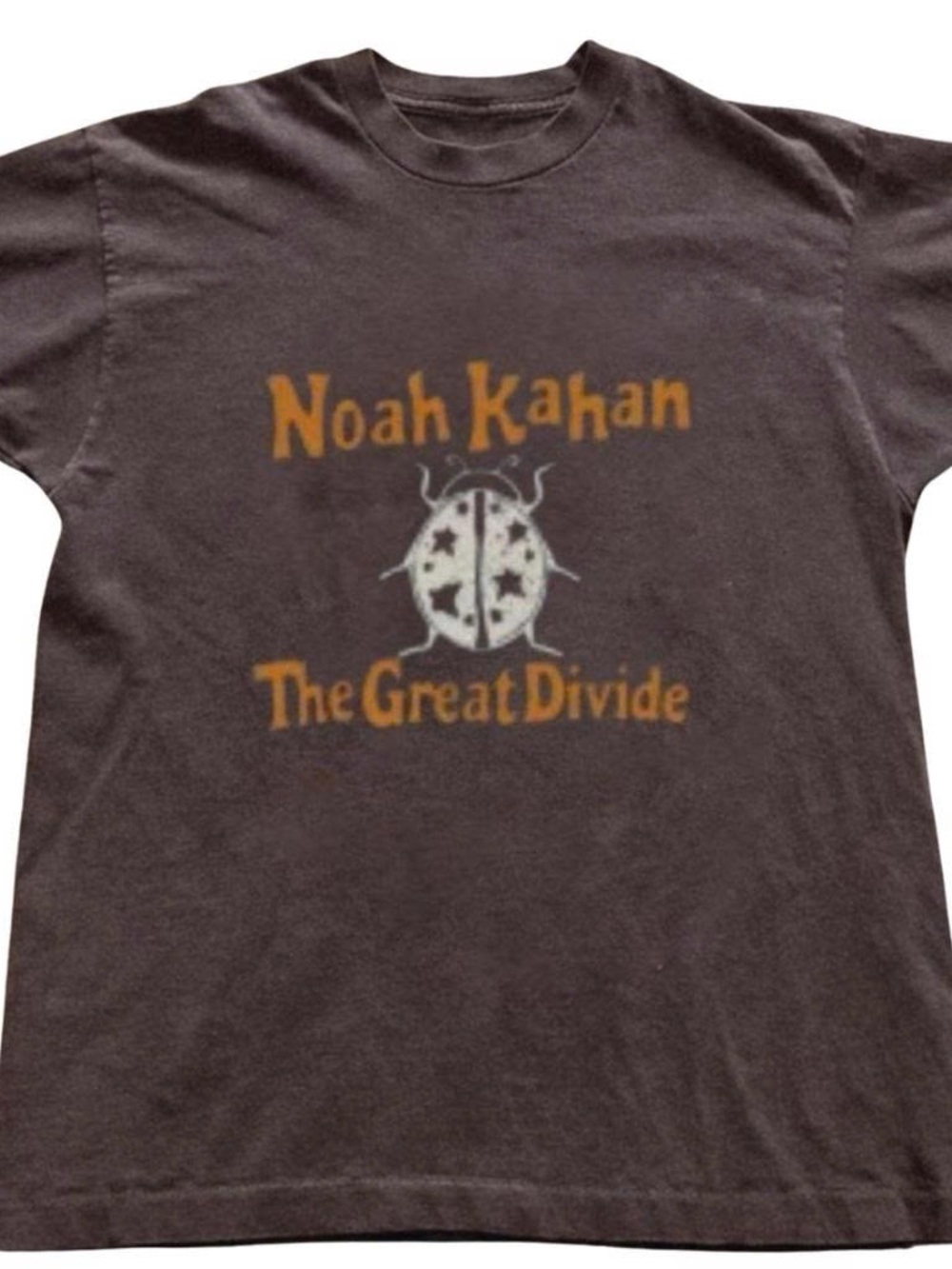 'The Great Divide' Graphic Tee - Brown & Gold